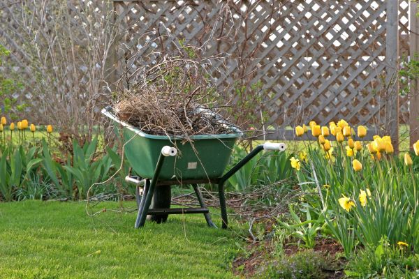 Flower Bed Cleanup Service in Sun City West