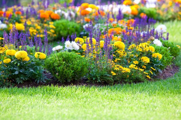 Flower Bed Maintenance in Sun City West