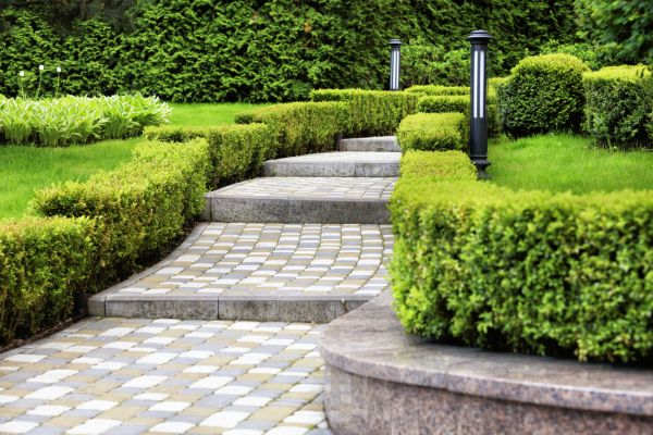 Backyard Remodeling in Sun City West