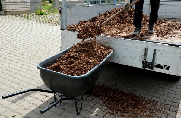 Bulk Mulch Delivery in Sun City West