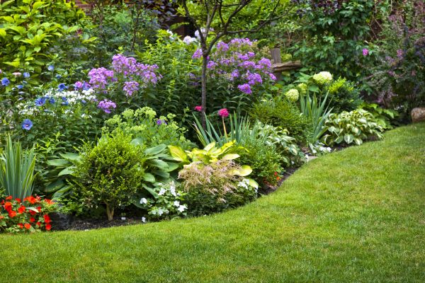 Flower Bed Service in Sun City West