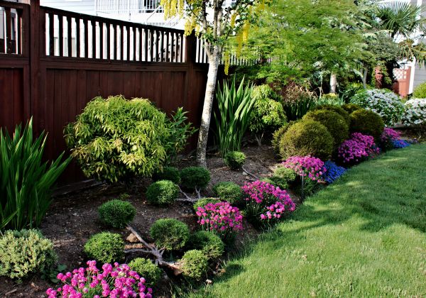 Flower Planting Service in Sun City West
