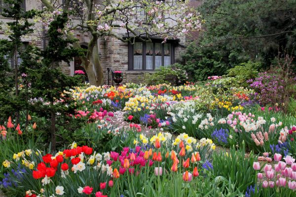 Garden Maintenance Service in Sun City West
