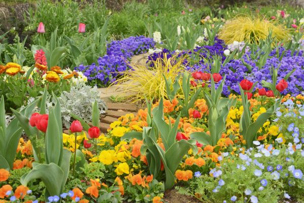 Garden Renovation in Sun City West