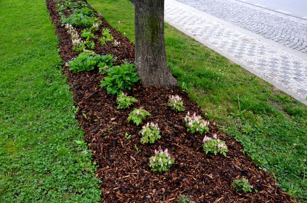 Mulch Replacement Service in Sun City West
