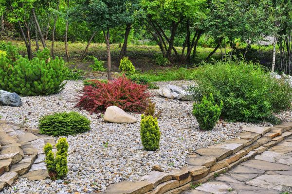 Rock Landscaping in Sun City West