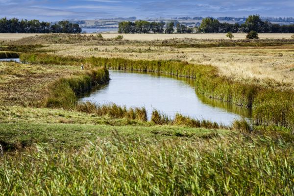 Swale Landscaping in Sun City West