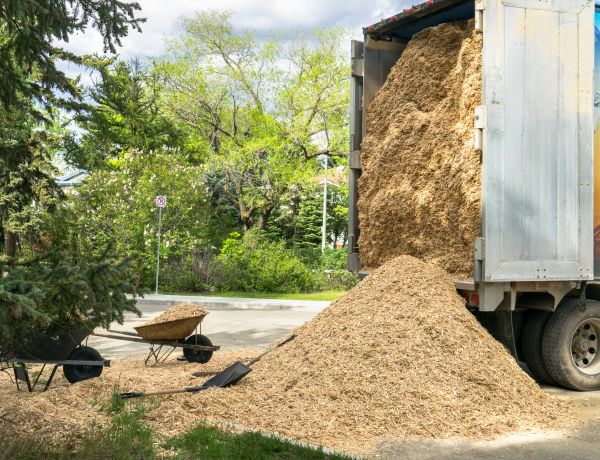 Wood Chips Delivery in Sun City West