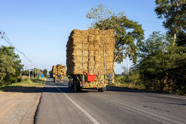 Pine Straw Delivery in Sun City West