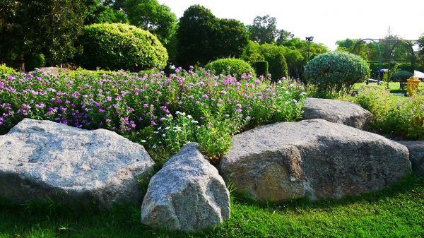 Boulder Landscaping in Sun City West