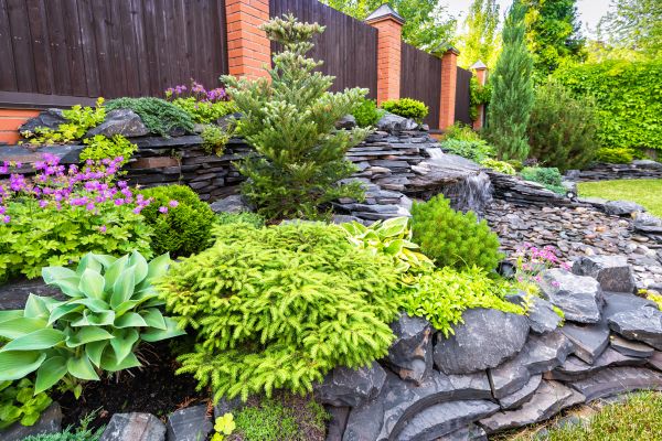 Landscape Remodeling in Sun City West