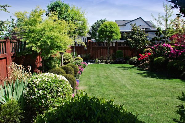 Lawn And Garden Installation in Sun City West