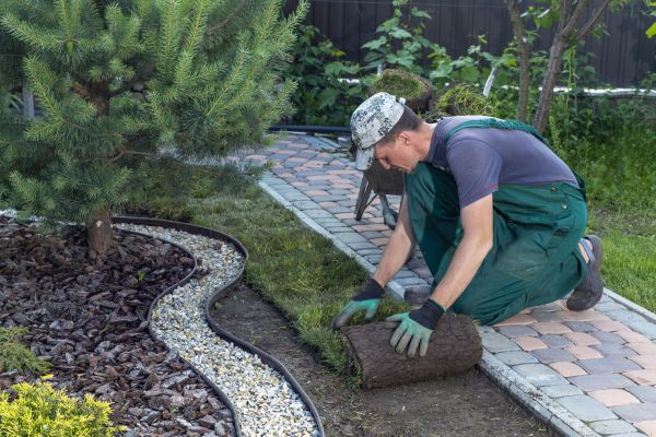 Garden Construction Service in Sun City West