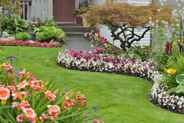 Perennial Landscaping in Sun City West