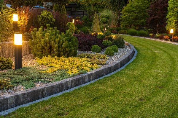 Garden Repair Service in Sun City West