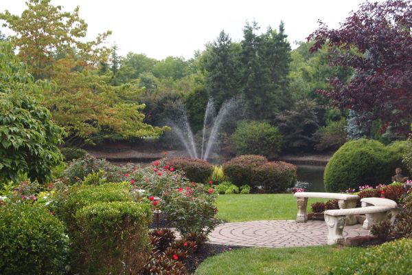 Courtyard Design Service in Sun City West