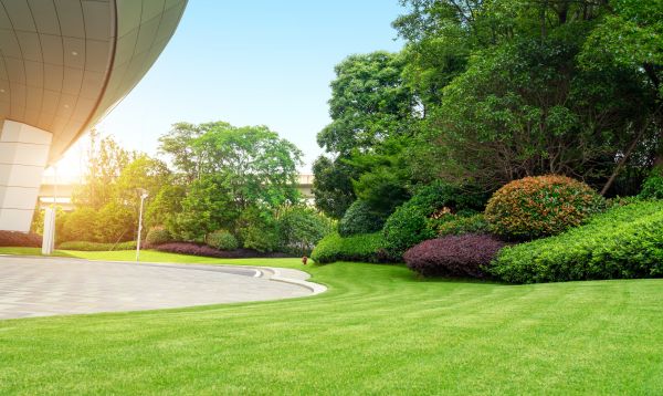 Business Landscape Design in Sun City West