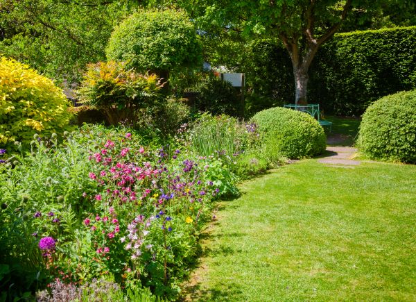 Yard Landscaping Service in Sun City West
