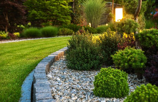 Landscaping Service in Sun City West