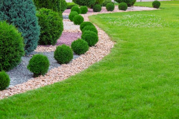 Edging Stones Installation in Sun City West