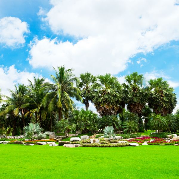 Tropical Landscaping in Sun City West