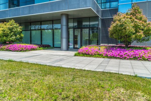 Commercial Gardening in Sun City West