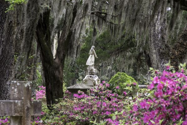 Cemetery Landscaping in Sun City West