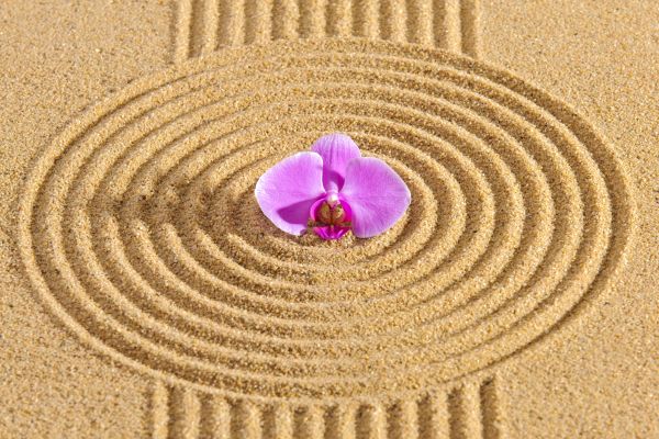 Sand Garden Landscaping in Sun City West