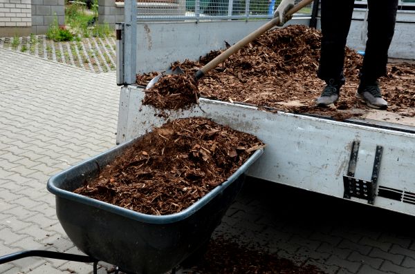 Cypress Mulch Delivery in Sun City West