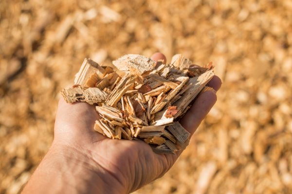 Wood Chips Spreading in Sun City West