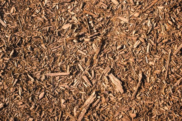 Wood Chips Removal in Sun City West