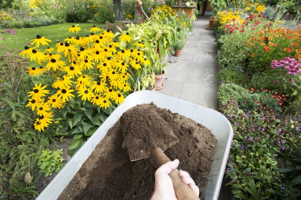 Topsoil Replacement in Sun City West