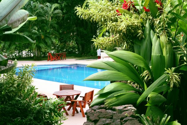 Pool Area Landscaping in Sun City West