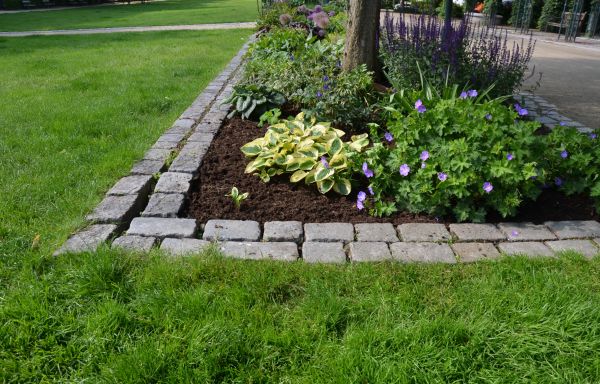Flower Bed Mulching in Sun City West