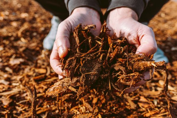Bark Chips Delivery in Sun City West