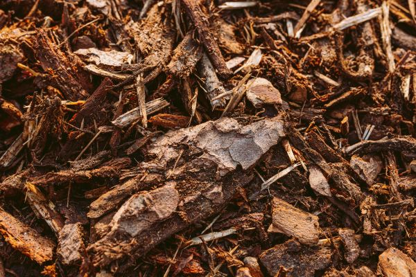 Bark Mulch Delivery in Sun City West