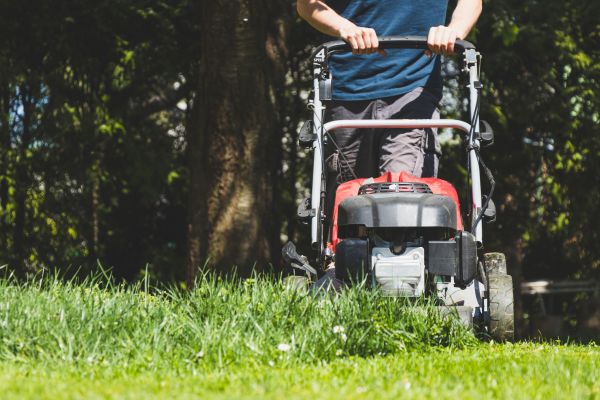 Garden Trimming Service in Sun City West