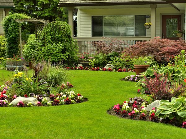 Flower Garden Planting in Sun City West