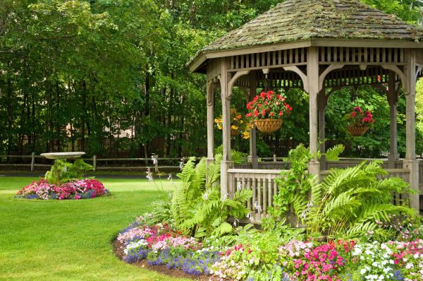Backyard Landscaping Service in Sun City West