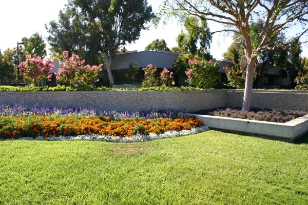 Commercial Landscape Service in Sun City West
