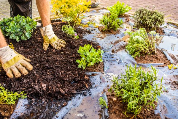 Mulch Fabric Installation in Sun City West
