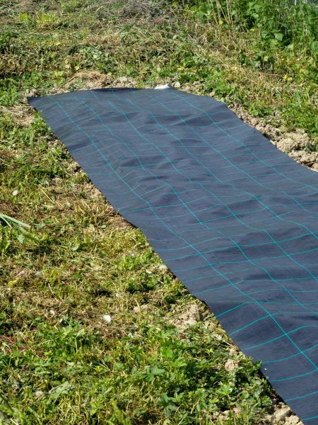 Weed Suppressant Installation in Sun City West