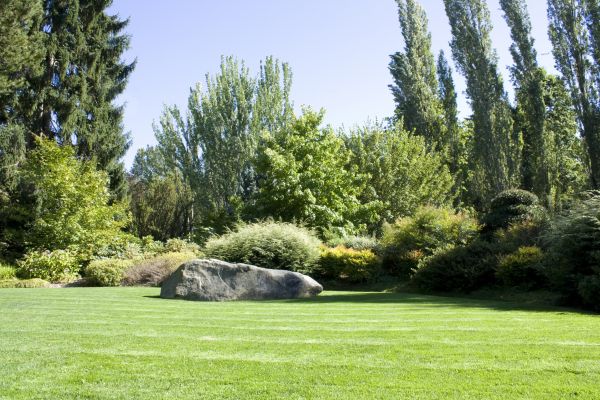 Yard Enlargement in Sun City West