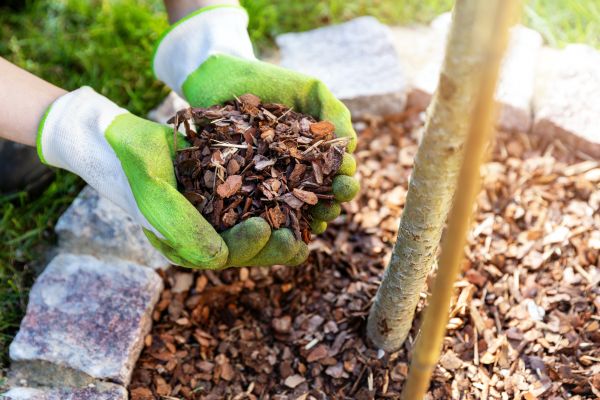 Tree Bark Delivery in Sun City West