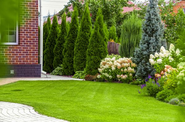 Spring Landscaping in Sun City West
