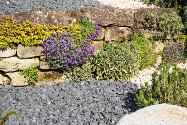 Landscaping Rocks Installation in Sun City West