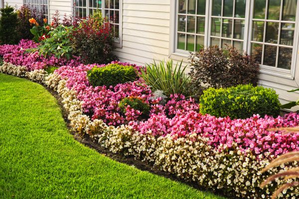 Garden Landscape Design in Sun City West