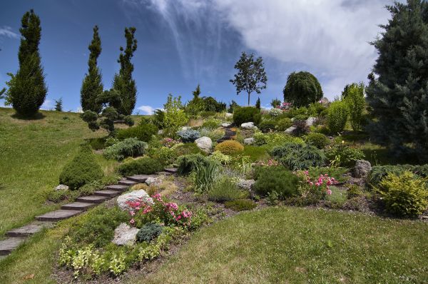 Steep Terrain Landscaping in Sun City West