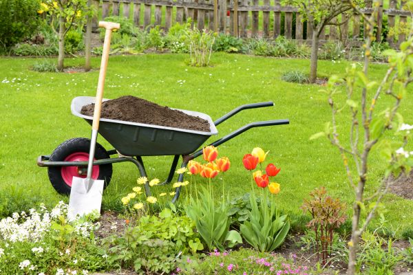 Spring Yard Renovation in Sun City West
