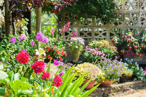 Spring Garden Maintenance in Sun City West